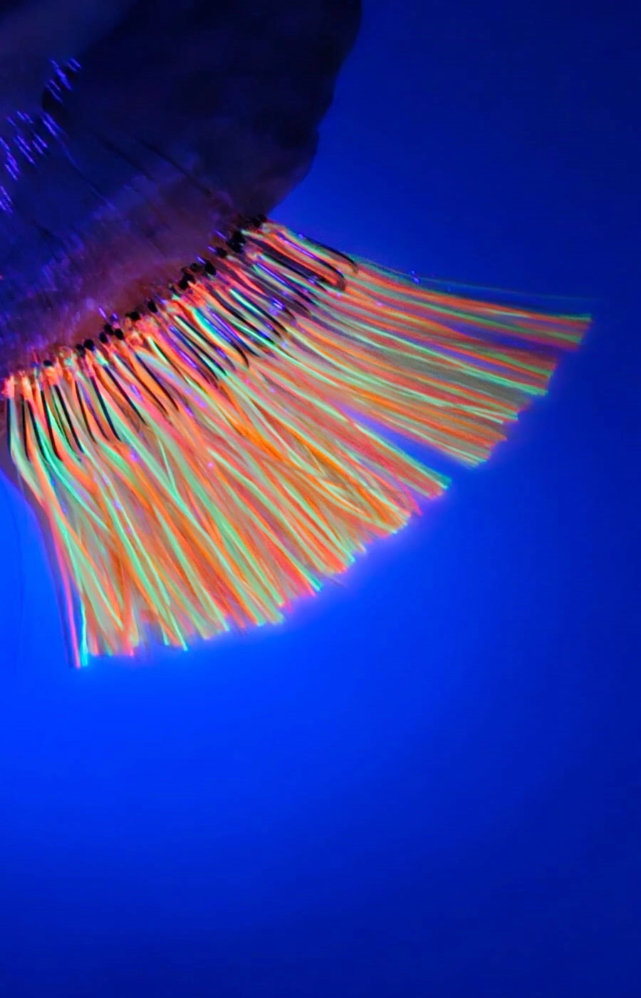 Çapari%20Köstek%2050’li%20Istavrit%20Çapari%20Kösteği%20Gece%20Çaparisi%209%20no%20iğne%20UV