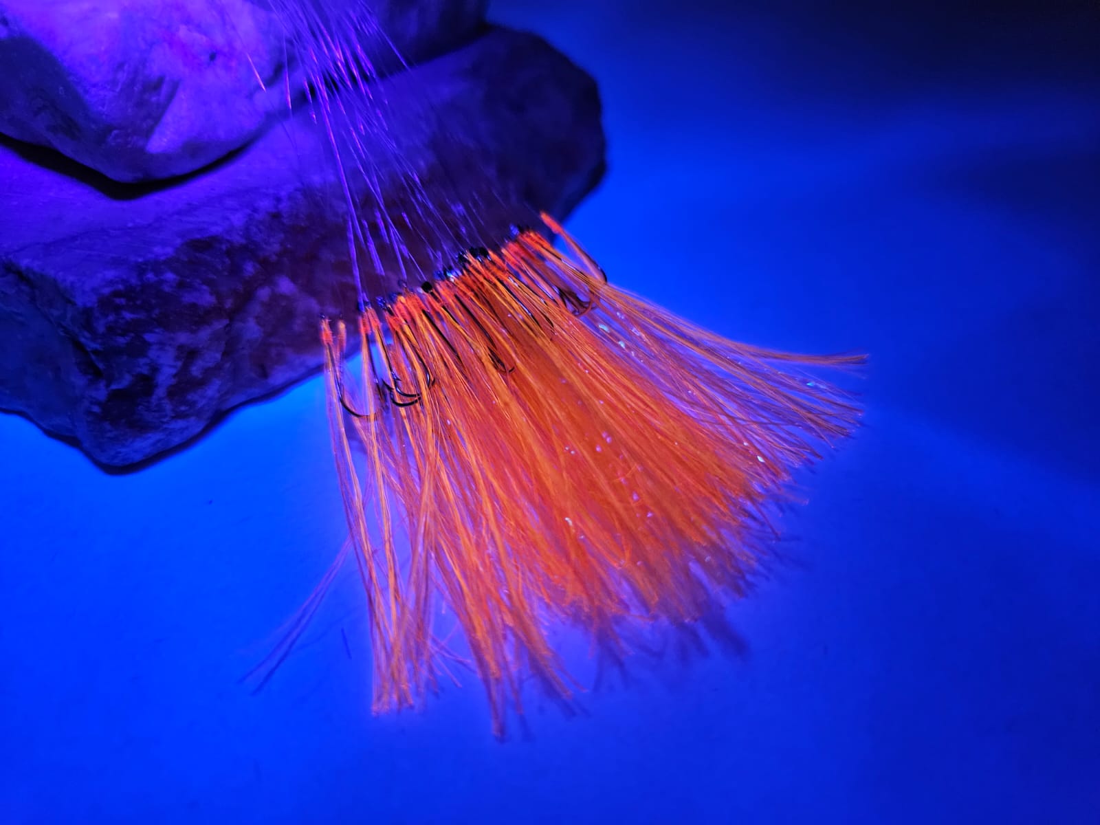 Çapari%20Köstek%2050’li%20İstavrit%20Çapari%20Kösteği%20brkc15%20Turuncu%2012%20no